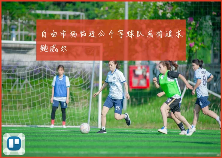 自由市场临近公牛等球队或将追求鲍威尔