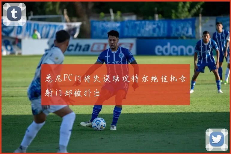悉尼FC门将失误助攻特尔绝佳机会射门却被扑出
